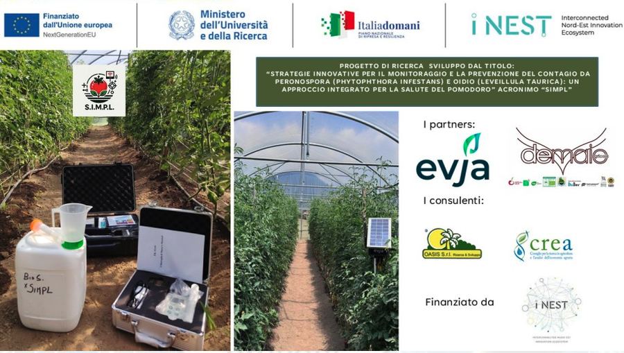 Progetto SIMPL — monitoraggio malattie del pomodoro