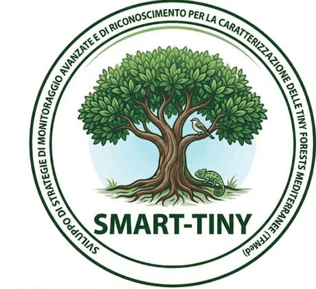 Logo del progetto SMART-TINY