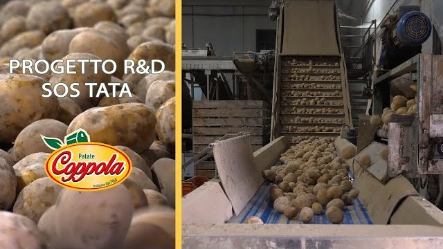 Anteprima: Progetto SOS TATA
