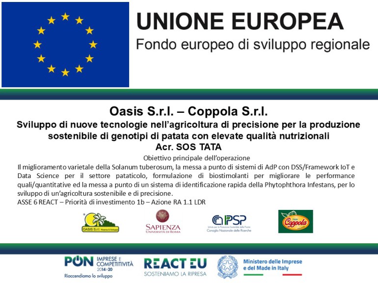 PUBBLICAZIONE SCIENTIFICA